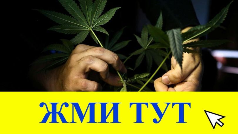Купить наркотики в Севастополе
